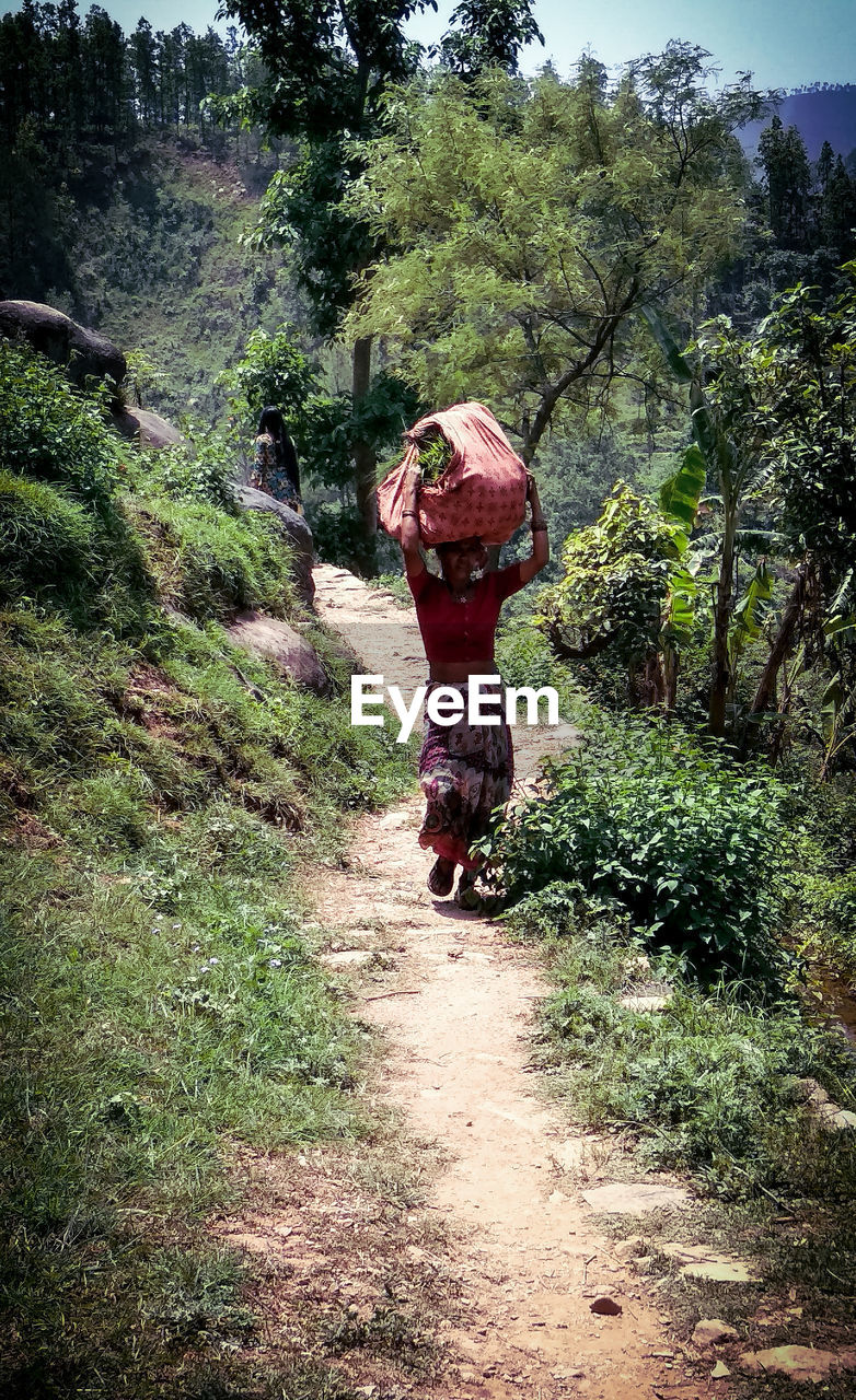 REAR VIEW OF WOMAN WALKING ON FOOTPATH BY TREES