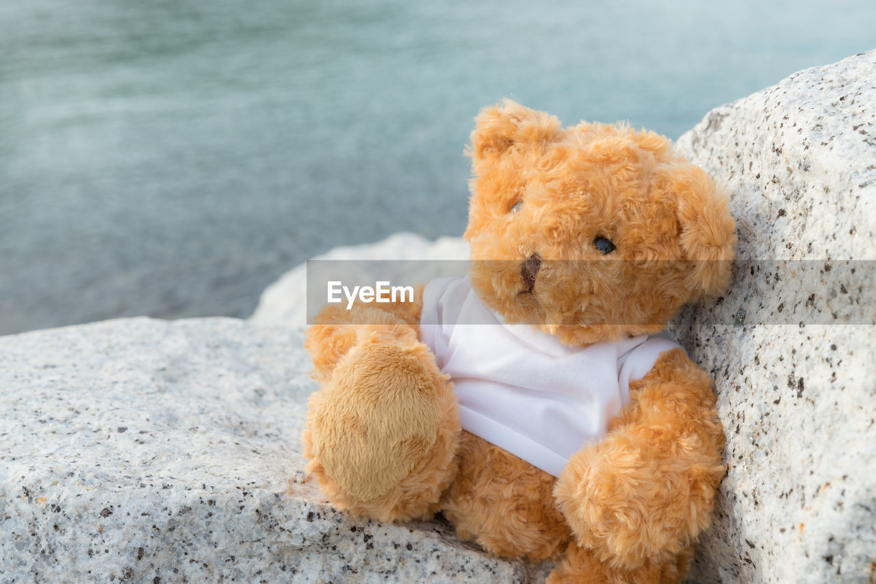 CLOSE-UP OF A STUFFED TOY ON THE BEACH