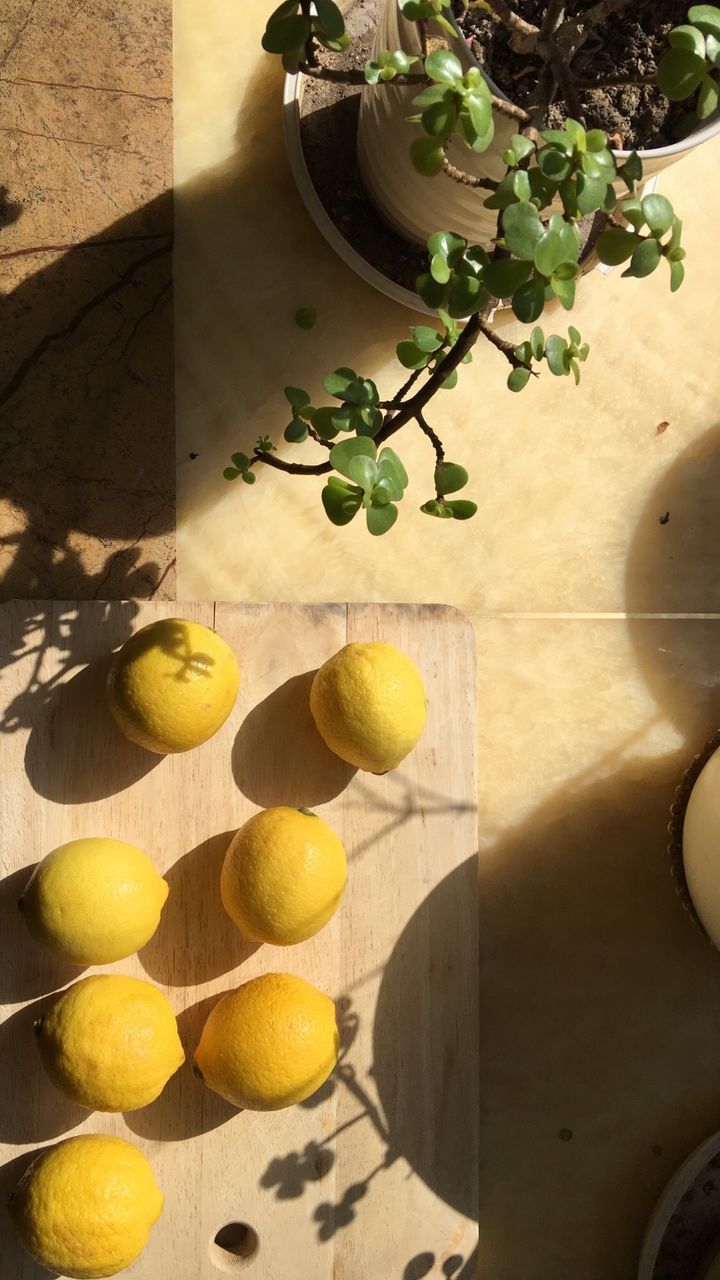 High angle view of lemons on wooden board by potted plants on floor