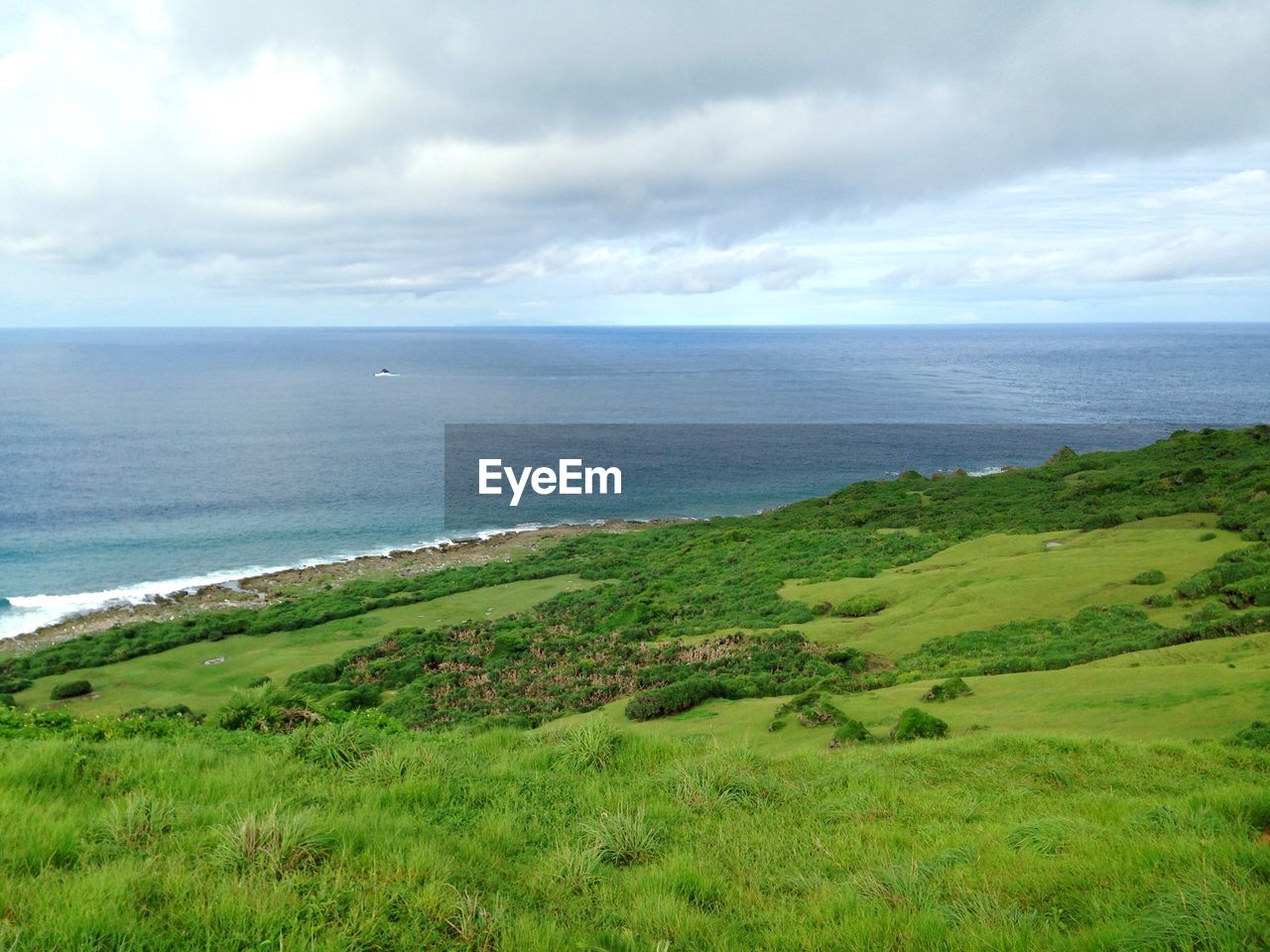 Scenic view of plants growing on hill against sea