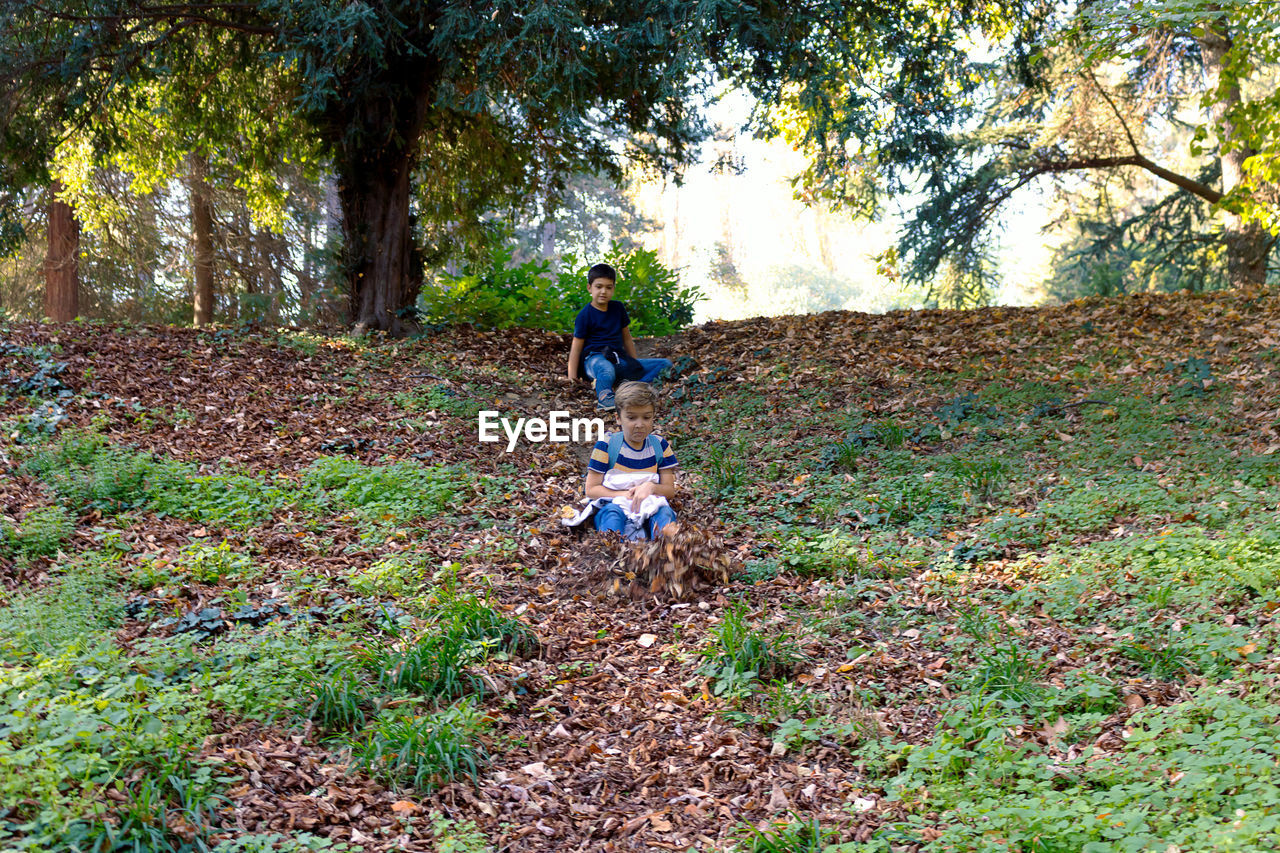 Happy boys having fun while sliding down the hill among autumn leaves in the forest.