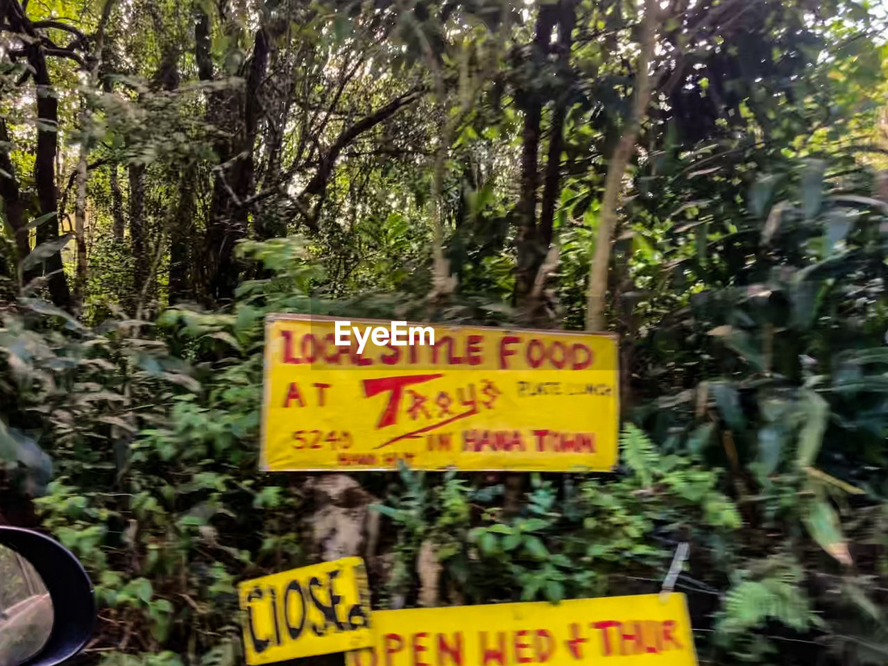 communication, text, sign, plant, western script, tree, warning sign, day, no people, nature, information sign, growth, trail, natural environment, script, forest, non-western script, yellow, jungle, outdoors, guidance, land, green