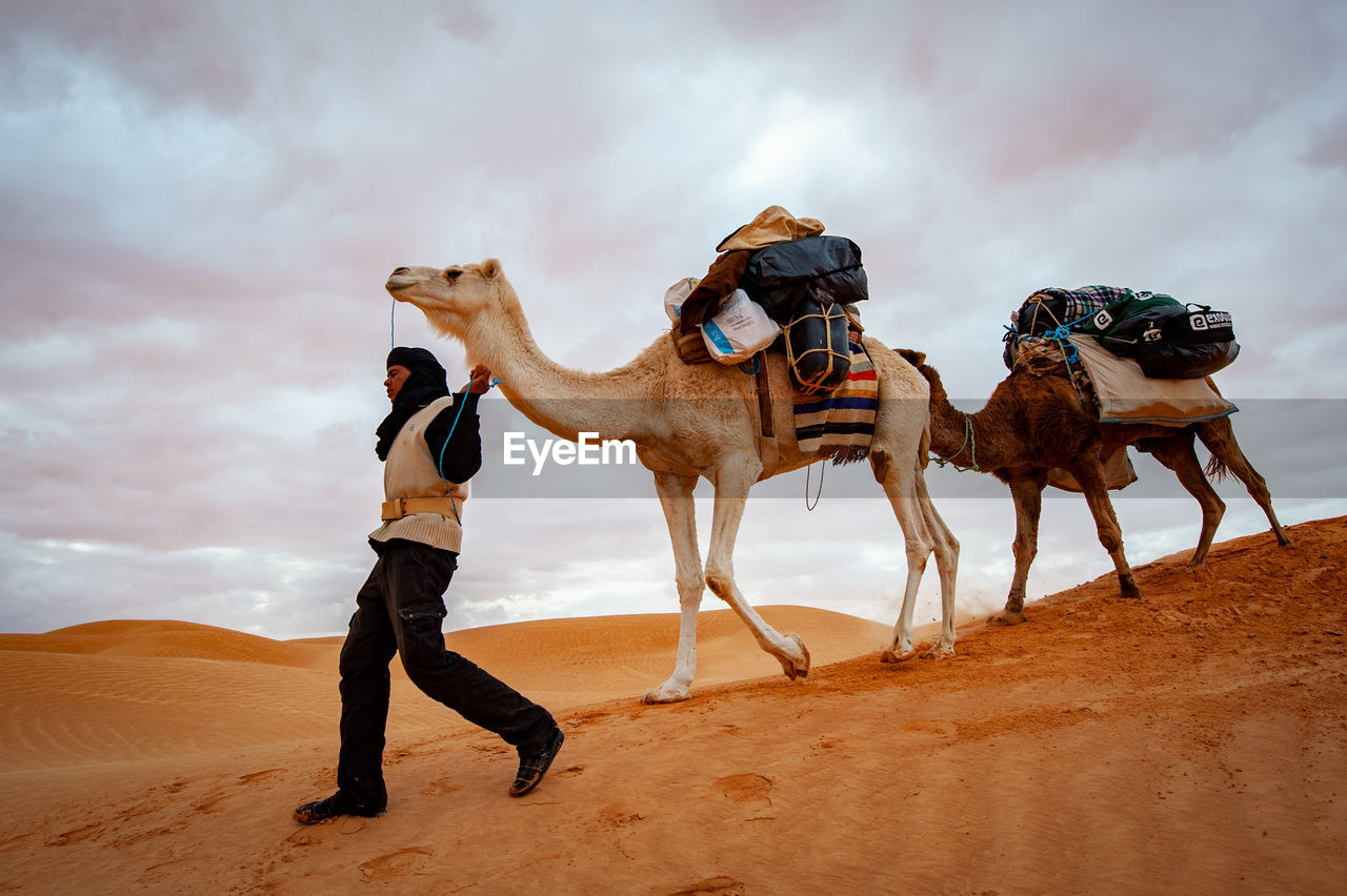 MEN STANDING ON DESERT