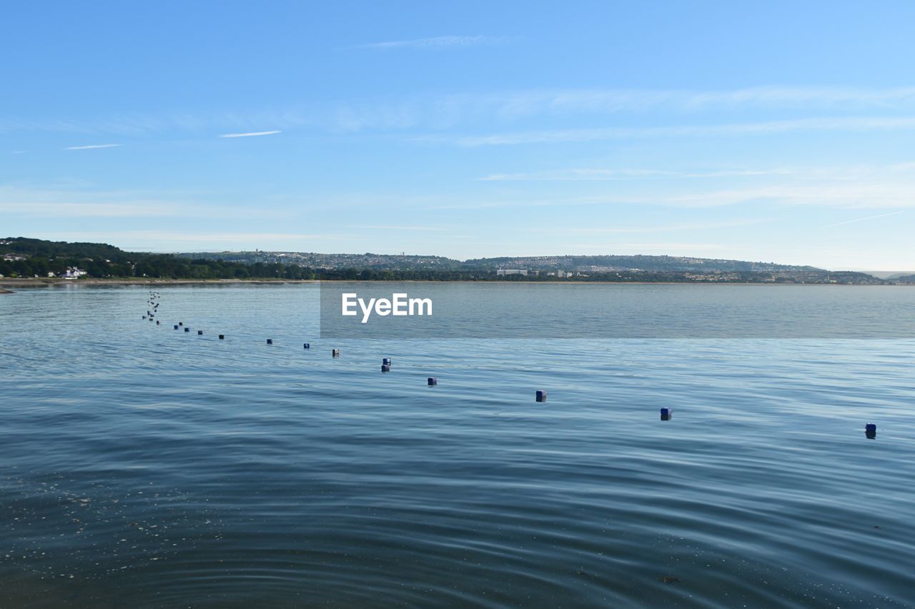 SWAN SWIMMING IN LAKE AGAINST BLUE SKY