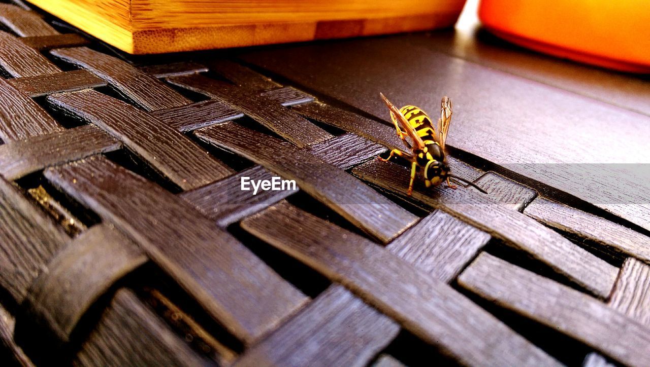 CLOSE UP OF WOODEN WOOD