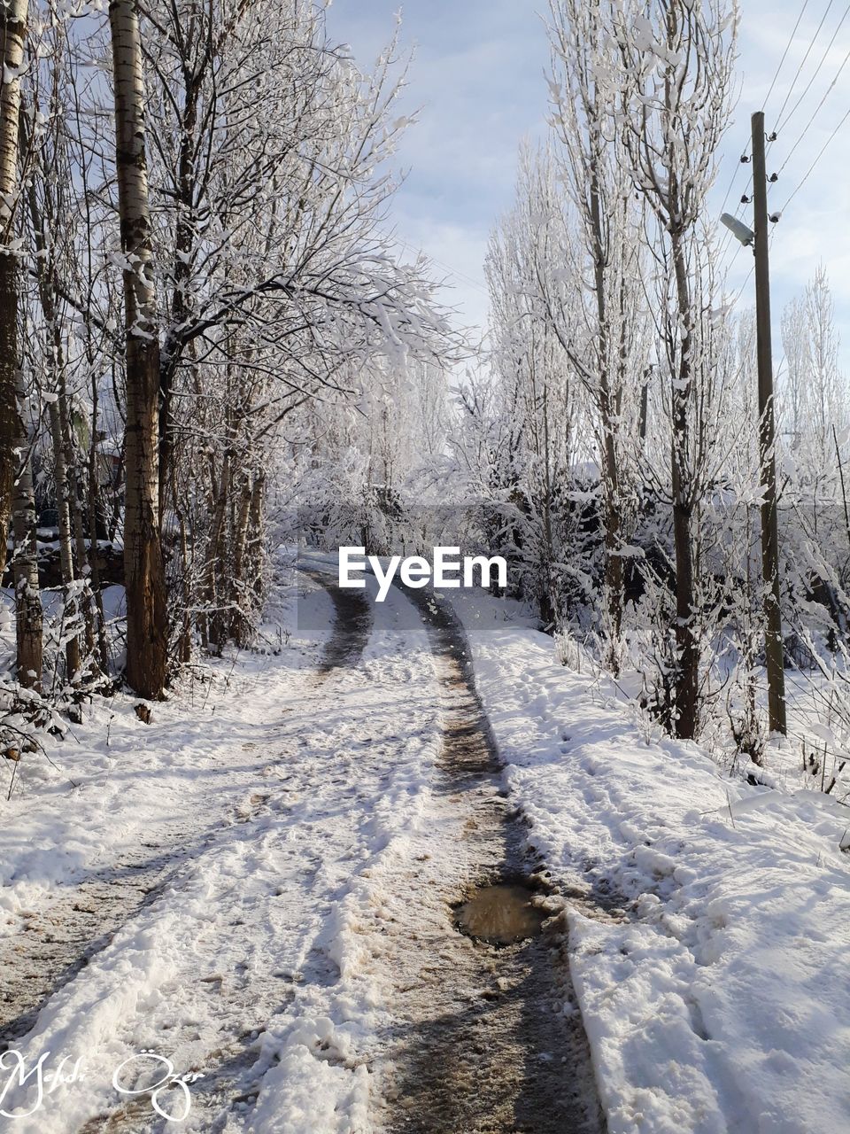 SNOW COVERED ROAD AMIDST BARE TREES