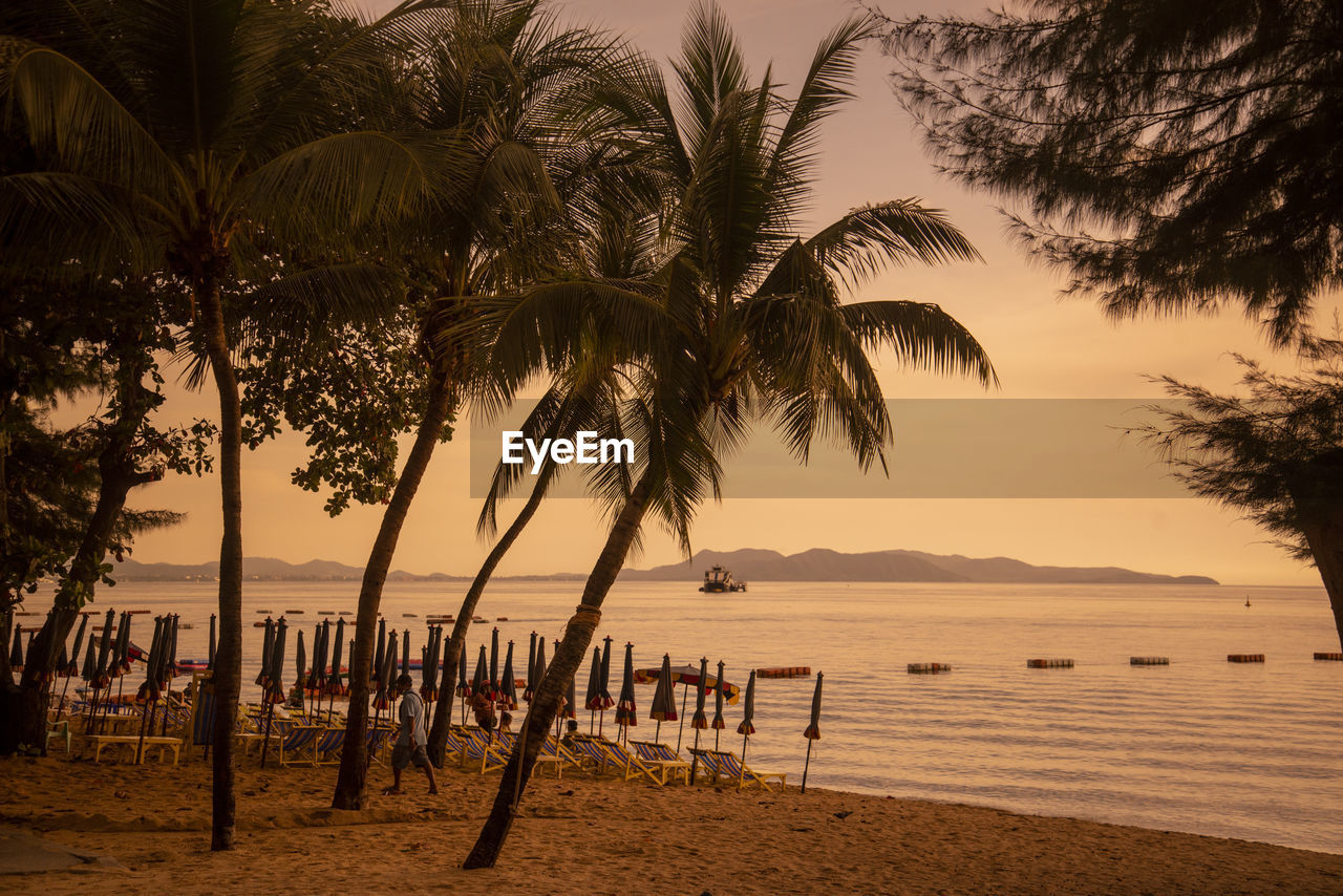 silhouette palm trees on beach against sky during sunset