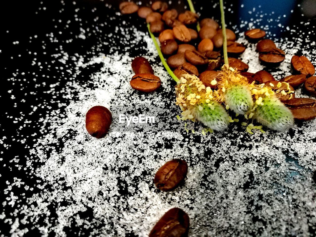 HIGH ANGLE VIEW OF FRUITS IN PLATE ON TABLE