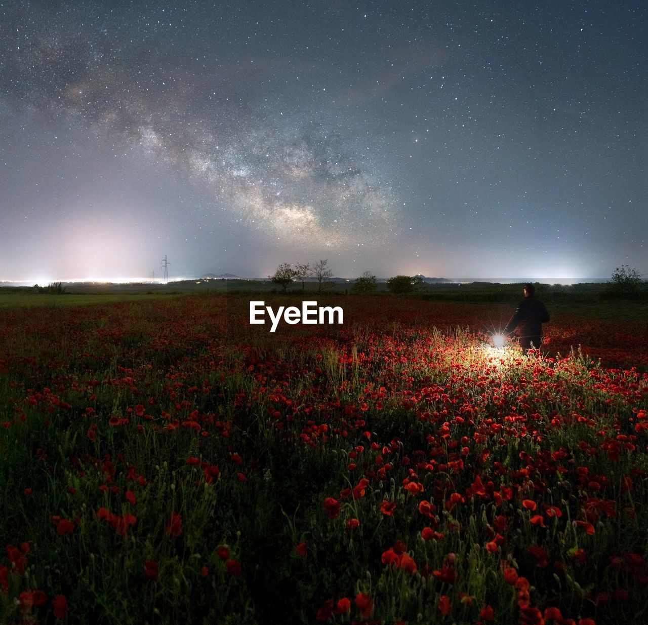 sky, landscape, star, environment, land, plant, beauty in nature, field, night, nature, flower, scenics - nature, flowering plant, astronomy, red, space, rural scene, horizon, galaxy, science, tranquility, milky way, cloud, agriculture, space and astronomy, growth, tranquil scene, meadow, no people, clear sky, outdoors, constellation, freshness, non-urban scene, grass, plain, astronomical object, crop, idyllic, abundance, tree, dark, light - natural phenomenon, summer, star field