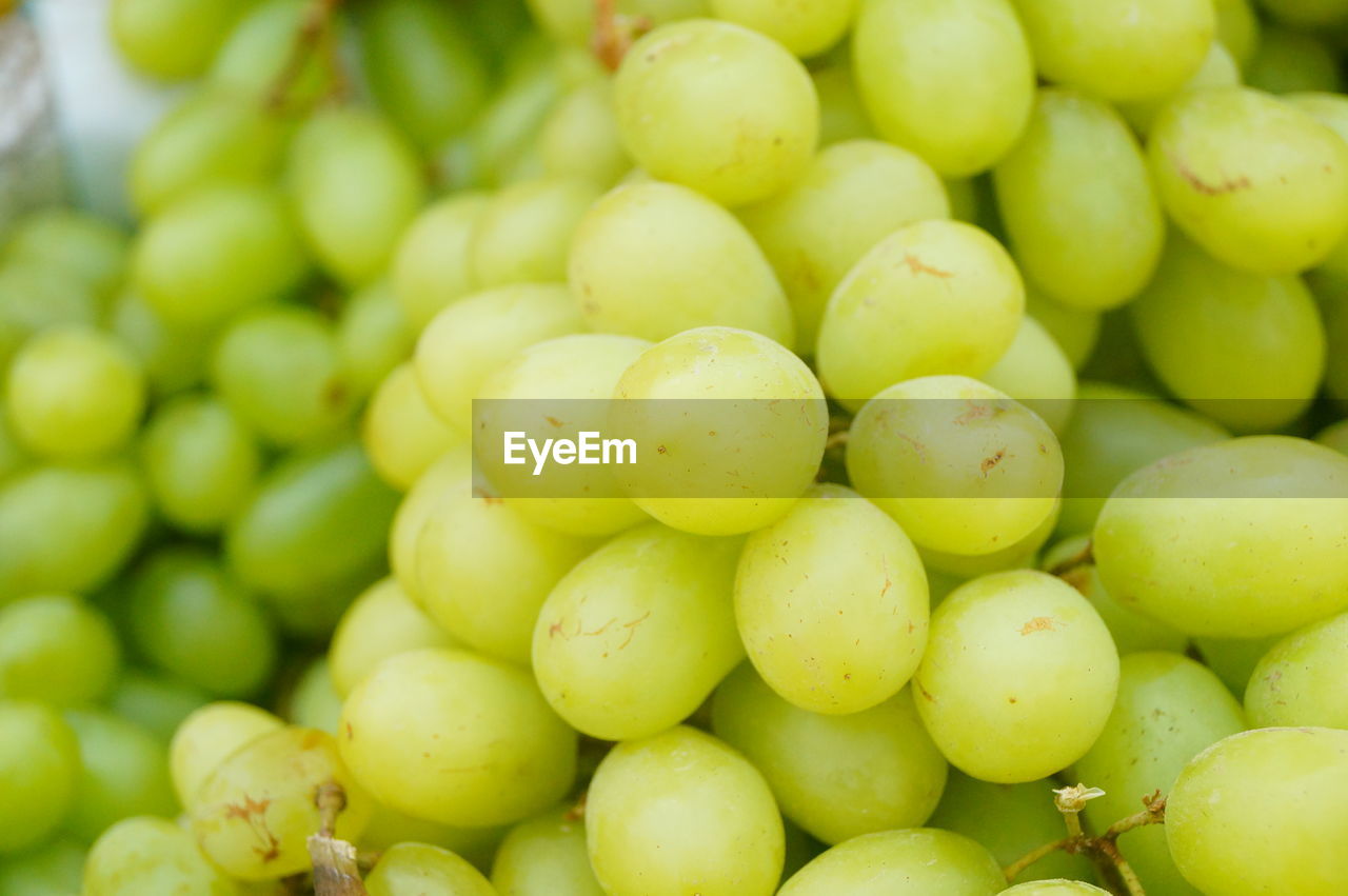 FULL FRAME SHOT OF FRUITS FOR SALE