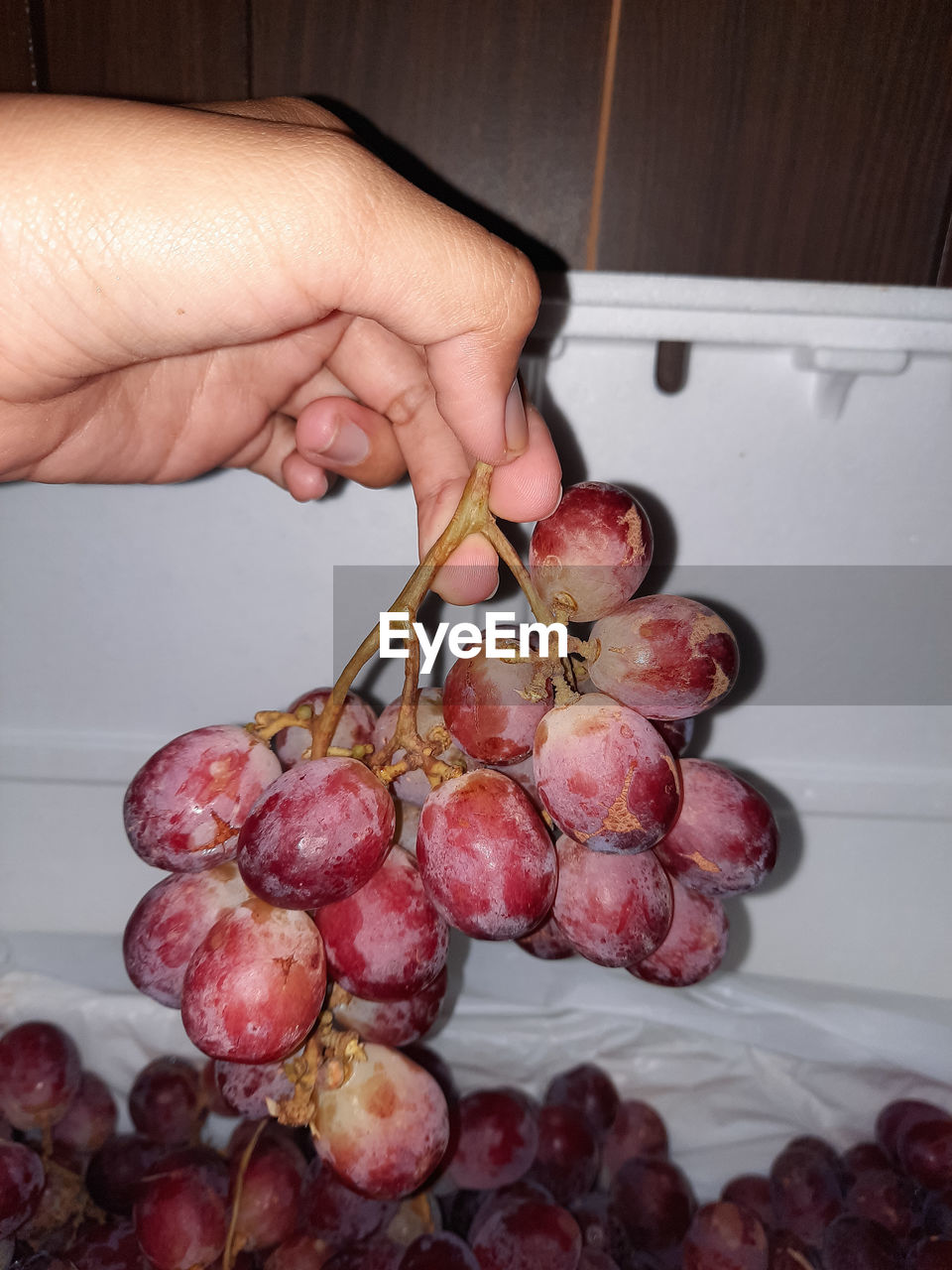 CLOSE-UP OF HAND HOLDING BERRIES
