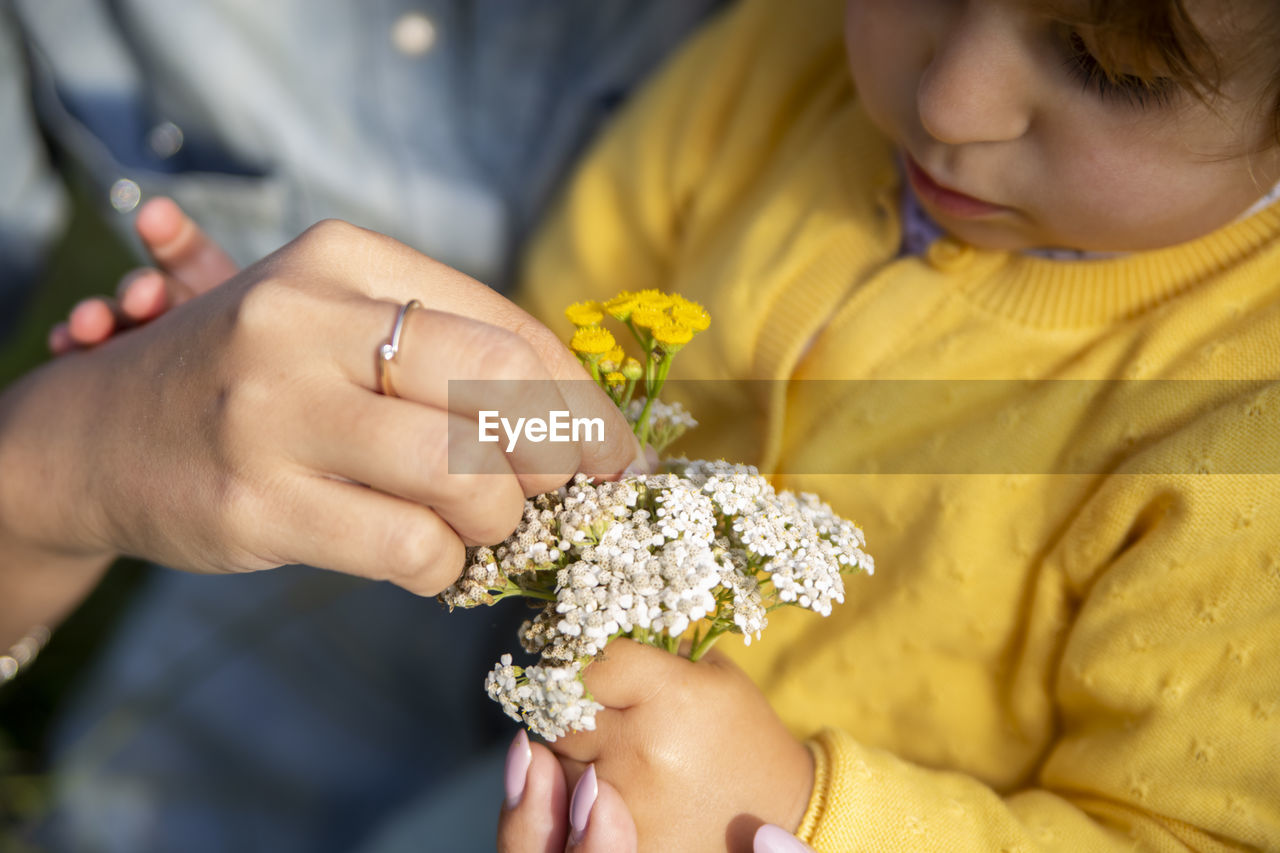 Mom and daughter study flowers yarrow close-up