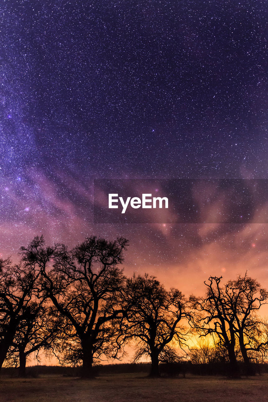 Silhouette of trees on landscape against sky at night