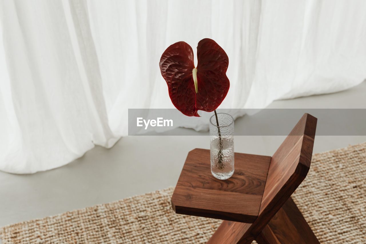 high angle view of potted plant on table