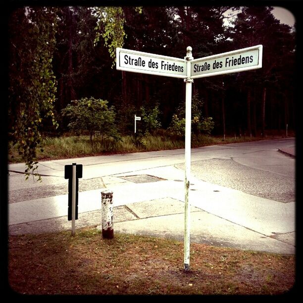 ROAD SIGN ON TREE TRUNK