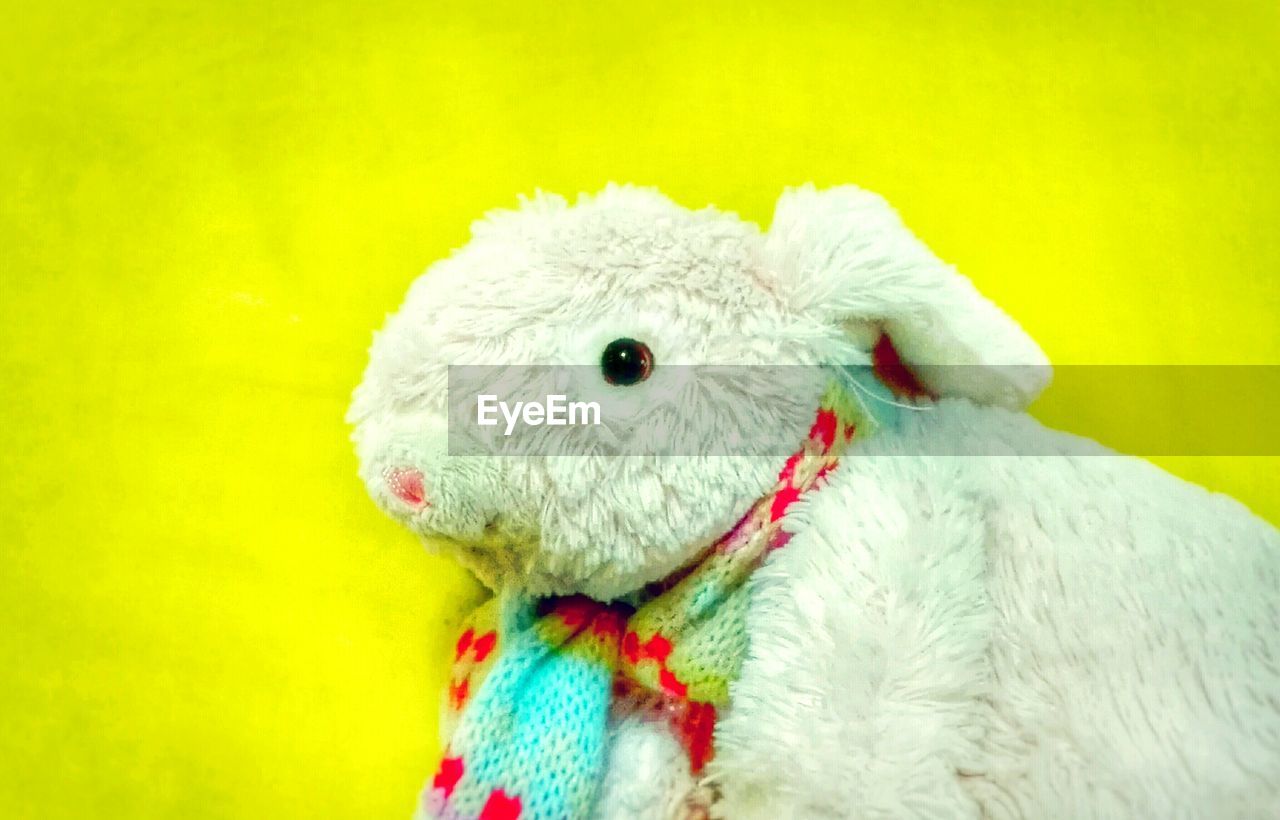 Close-up of rabbit toy against yellow background