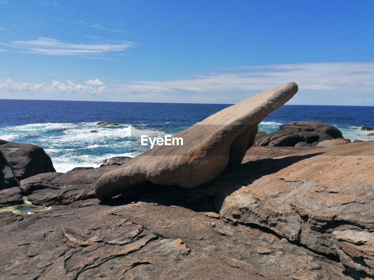 DRIFTWOOD ON BEACH AGAINST SKY