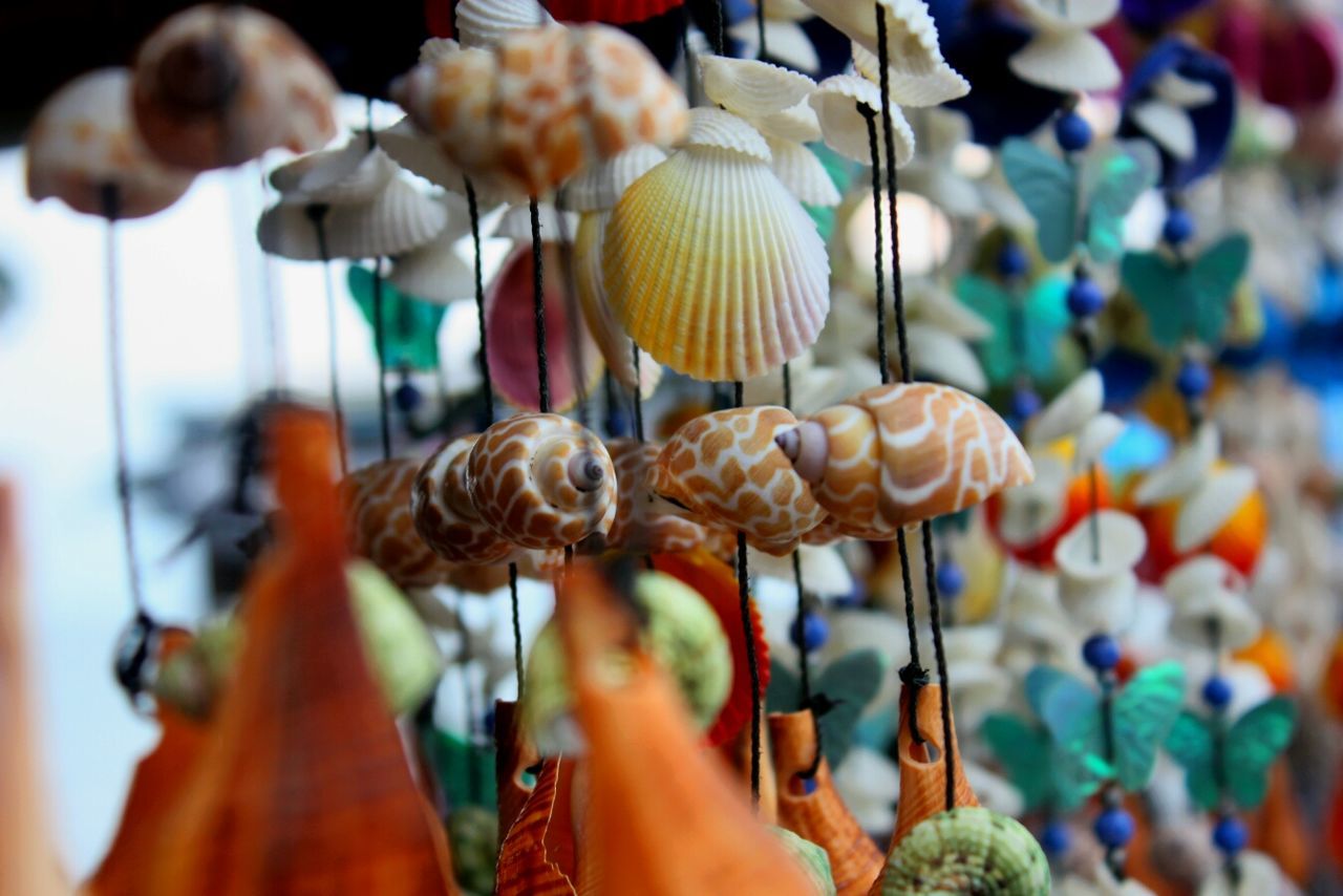 Close-up of seashells decoration hanging at market