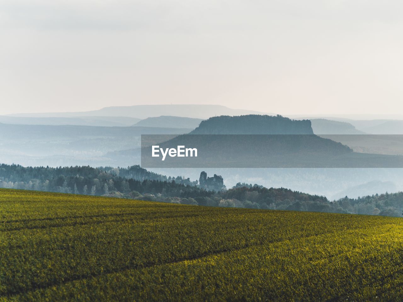 Scenic view of agricultural field against sky