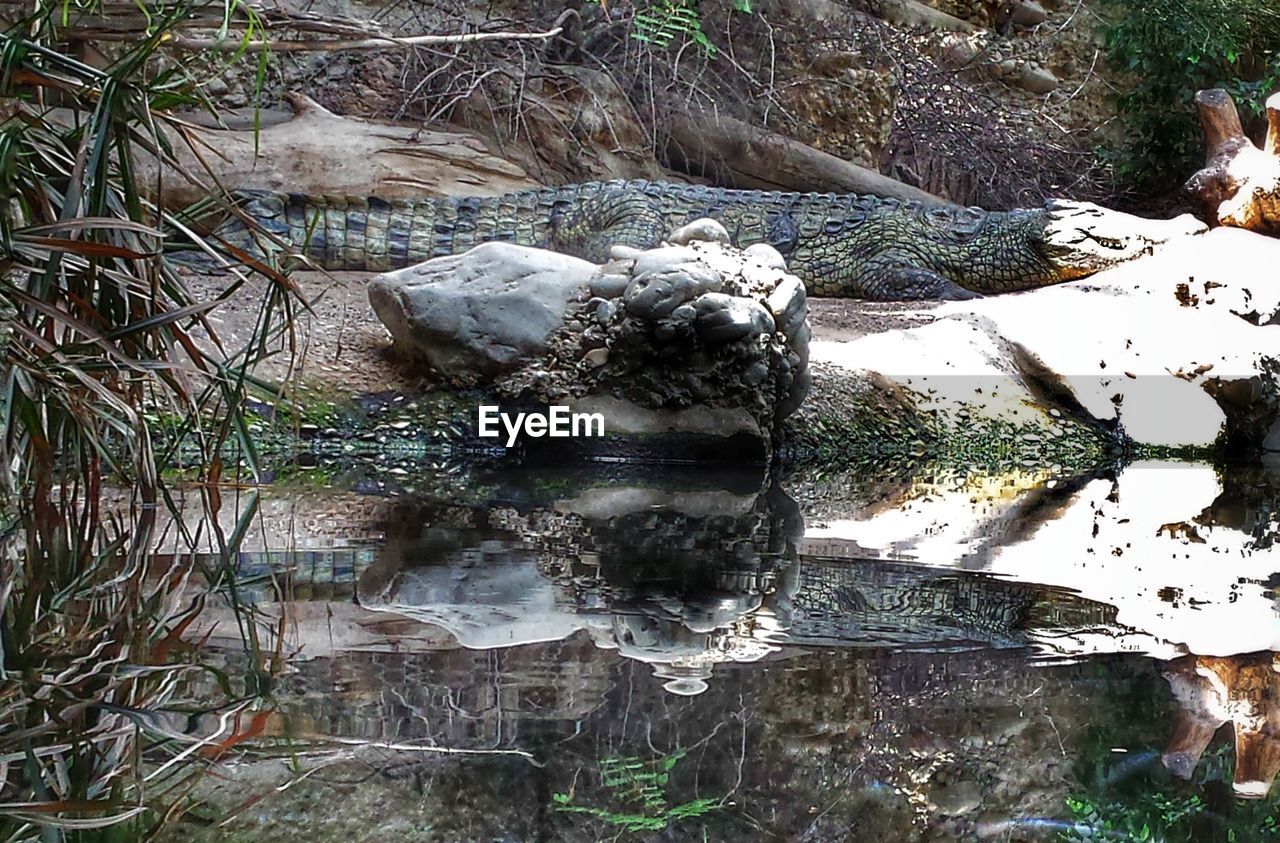 ROCKS IN WATER