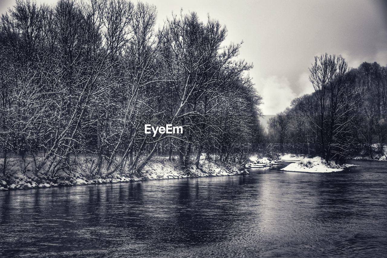 RIVER AMIDST BARE TREES DURING WINTER