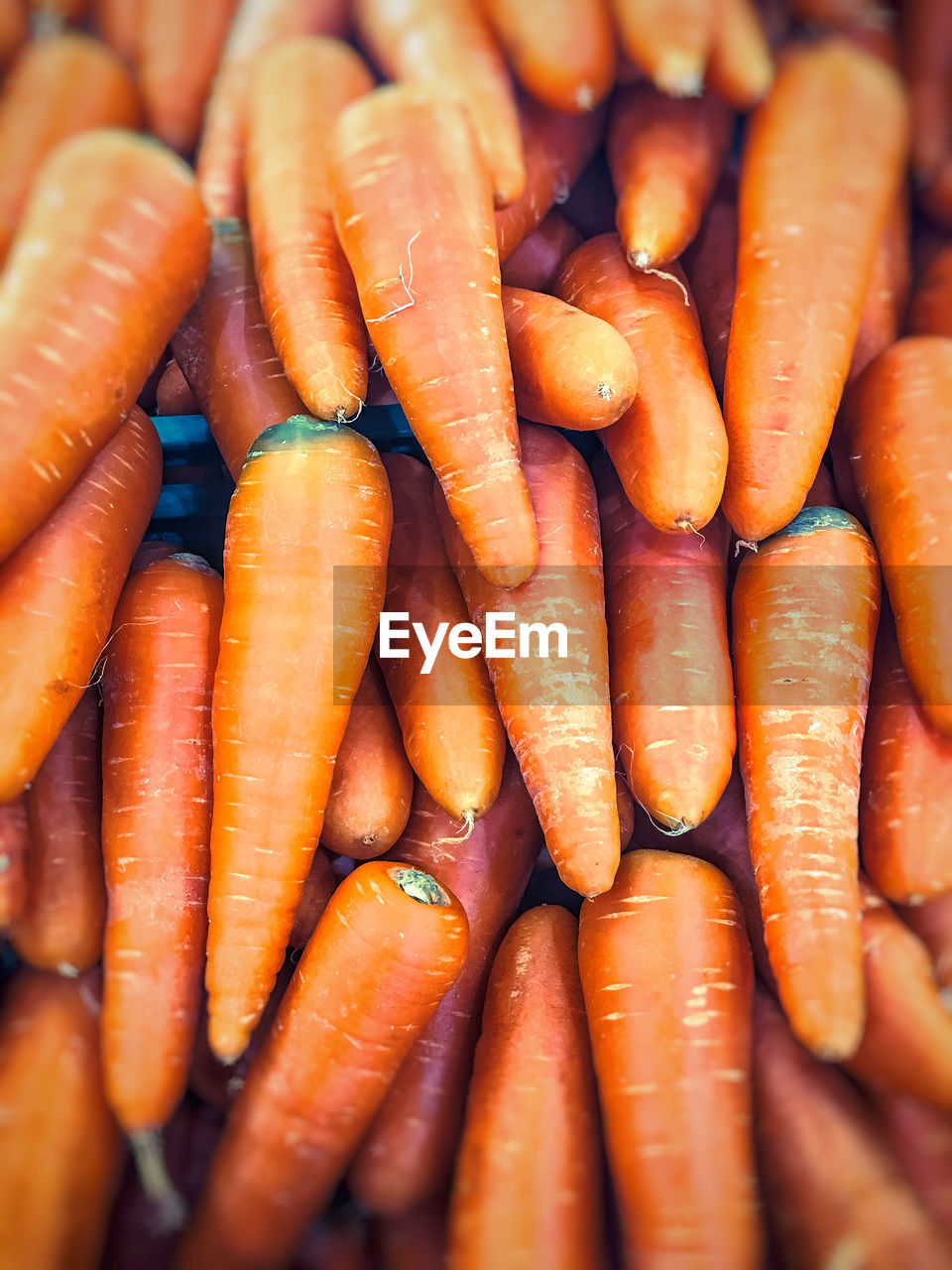 FULL FRAME SHOT OF VEGETABLES AT MARKET