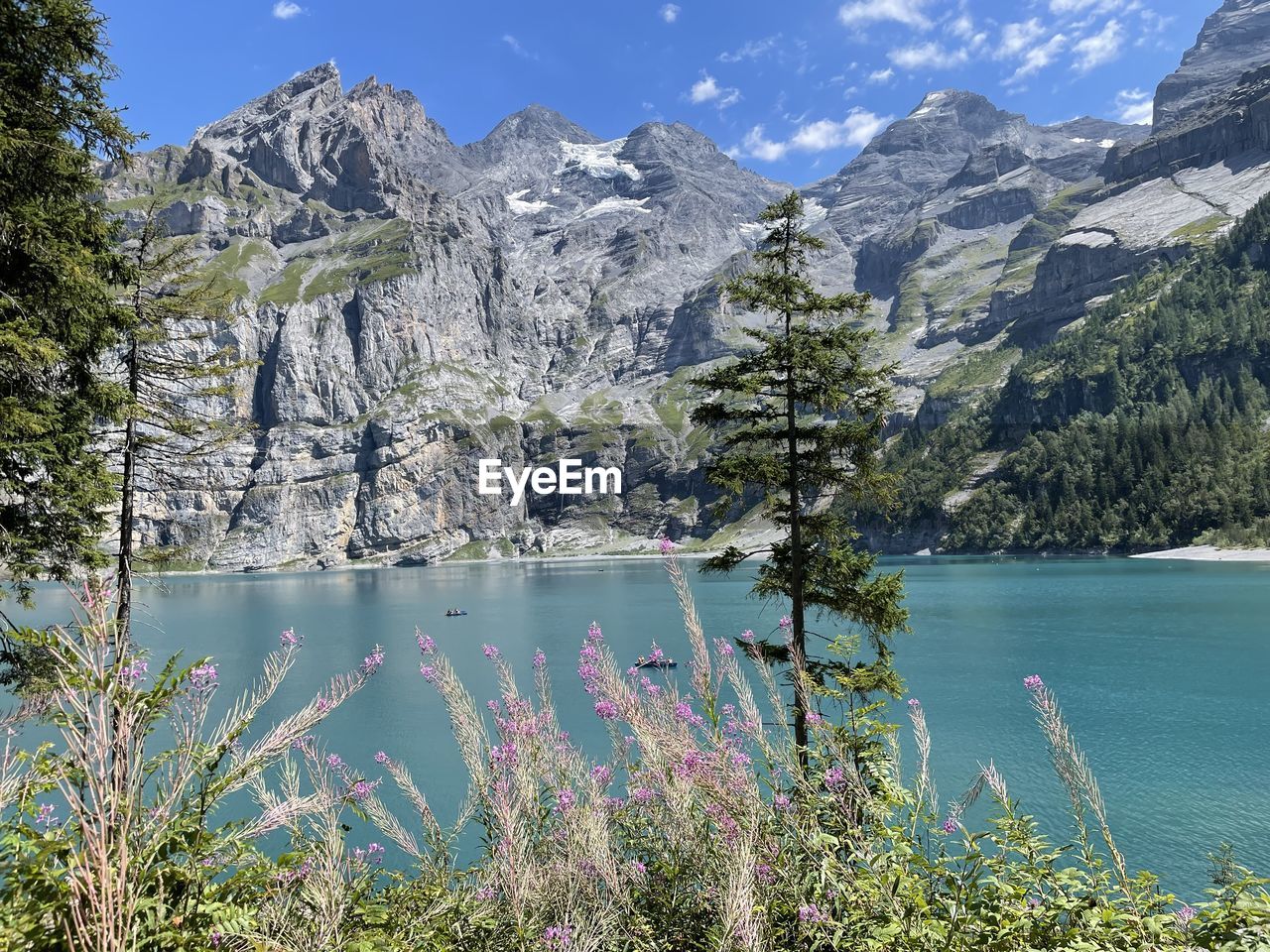 mountain, scenics - nature, water, beauty in nature, plant, mountain range, wilderness, nature, tree, lake, environment, landscape, tranquil scene, land, sky, pine tree, tranquility, coniferous tree, pinaceae, snow, travel destinations, flowering plant, pine woodland, flower, travel, no people, day, forest, cold temperature, blue, idyllic, non-urban scene, outdoors, mountain peak, snowcapped mountain, glacial lake, winter, tourism, activity, body of water, meadow, reflection, national park, cloud, vacation, sunlight