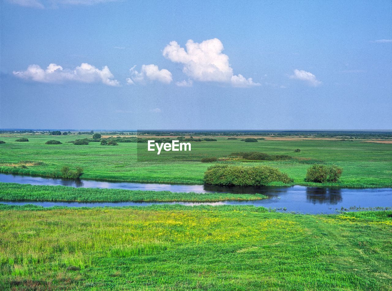 High angle view of biebrza river at swamp against sky