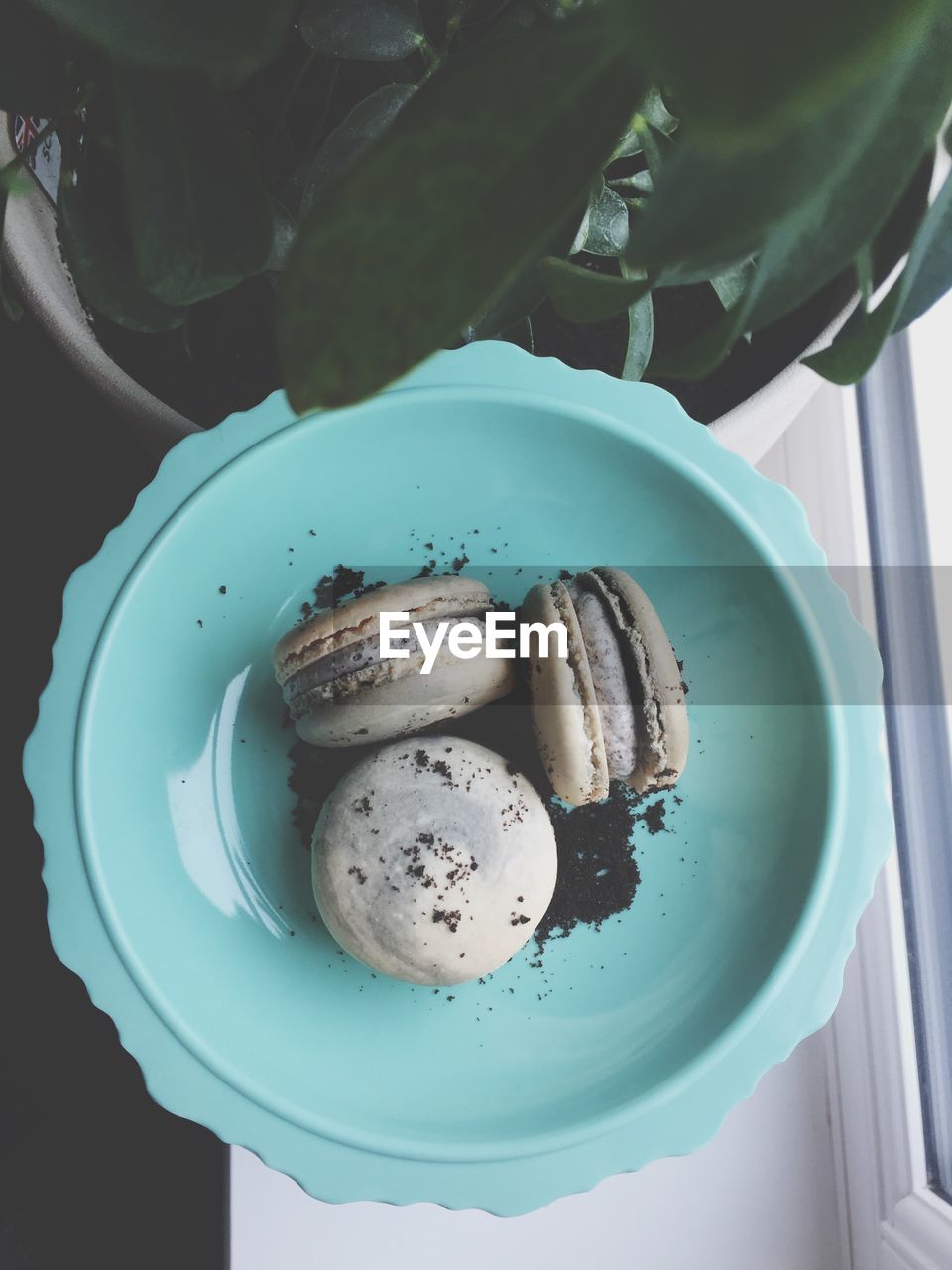 HIGH ANGLE VIEW OF ICE CREAM IN PLATE