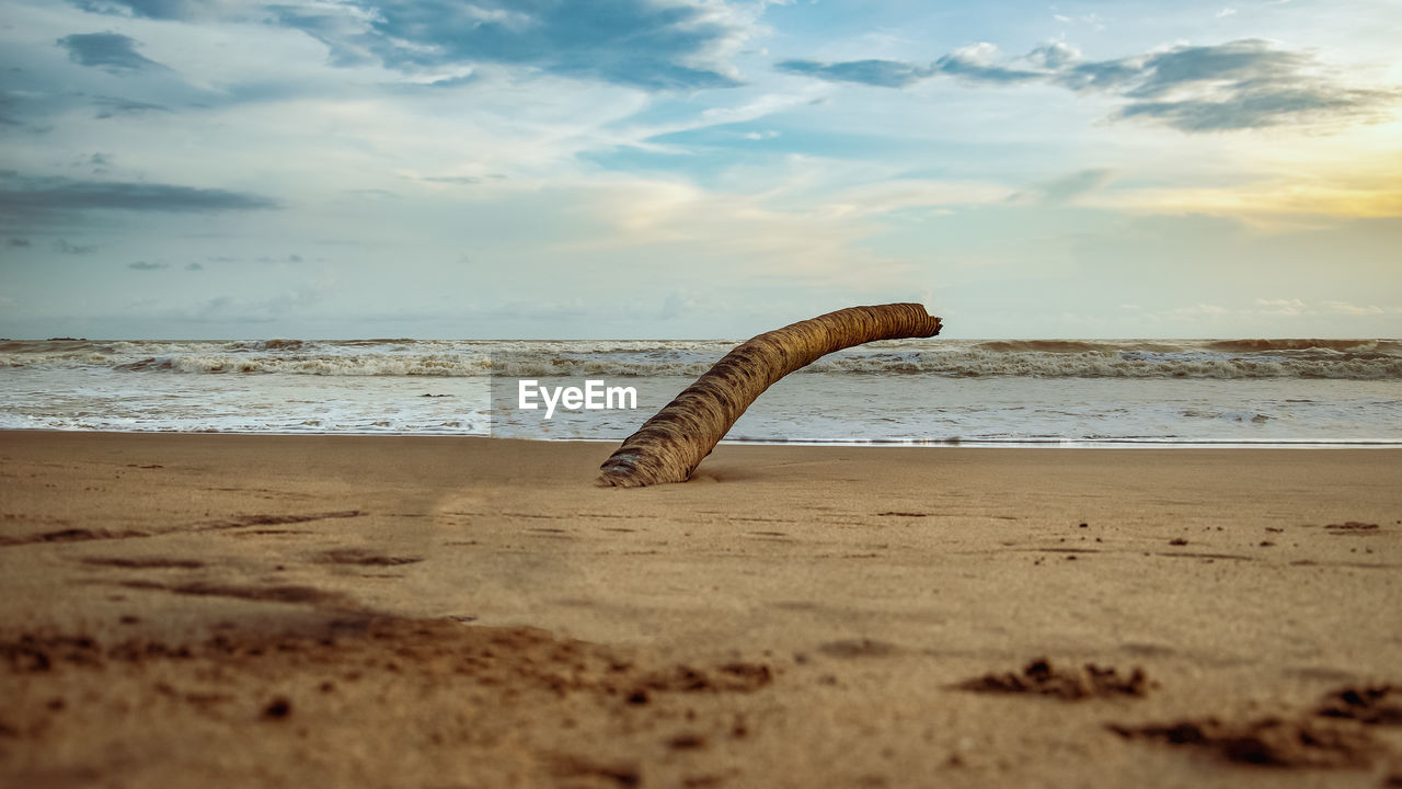 SCENIC VIEW OF SEA SHORE