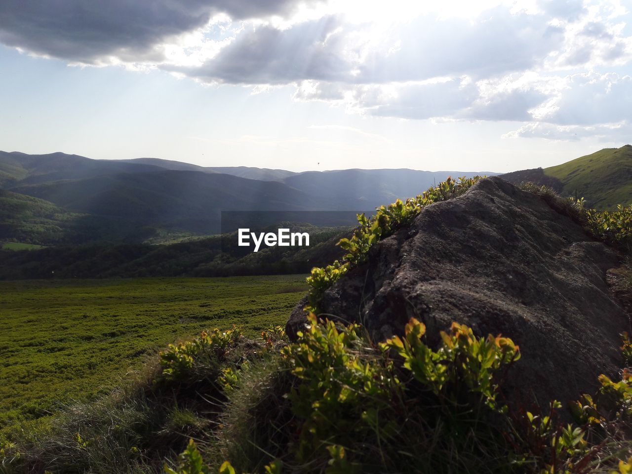 SCENIC VIEW OF LANDSCAPE