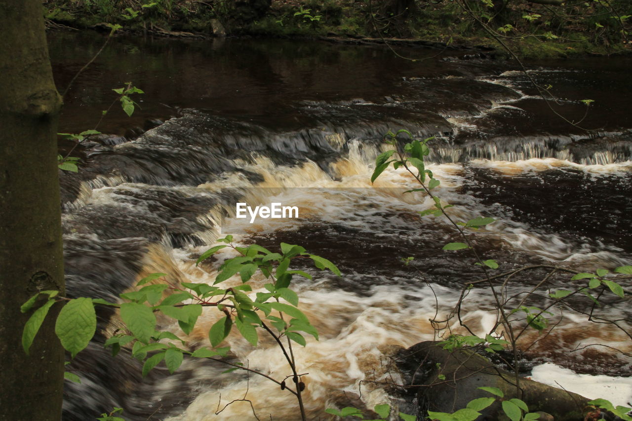 Scenic view of river flowing through rocks