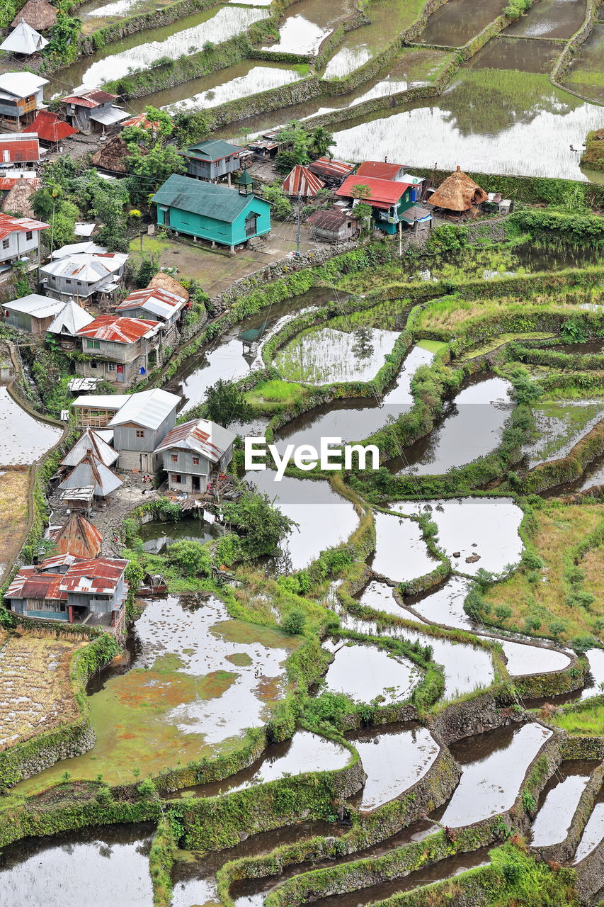 HIGH ANGLE VIEW OF TREES AND HOUSES AGAINST SKY