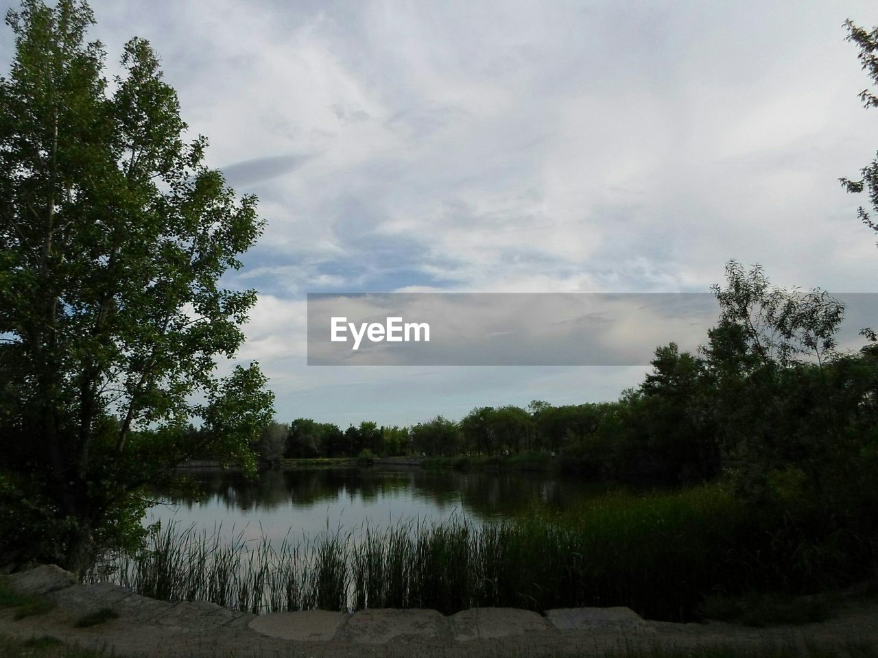 SCENIC VIEW OF LAKE AGAINST SKY IN FOREST