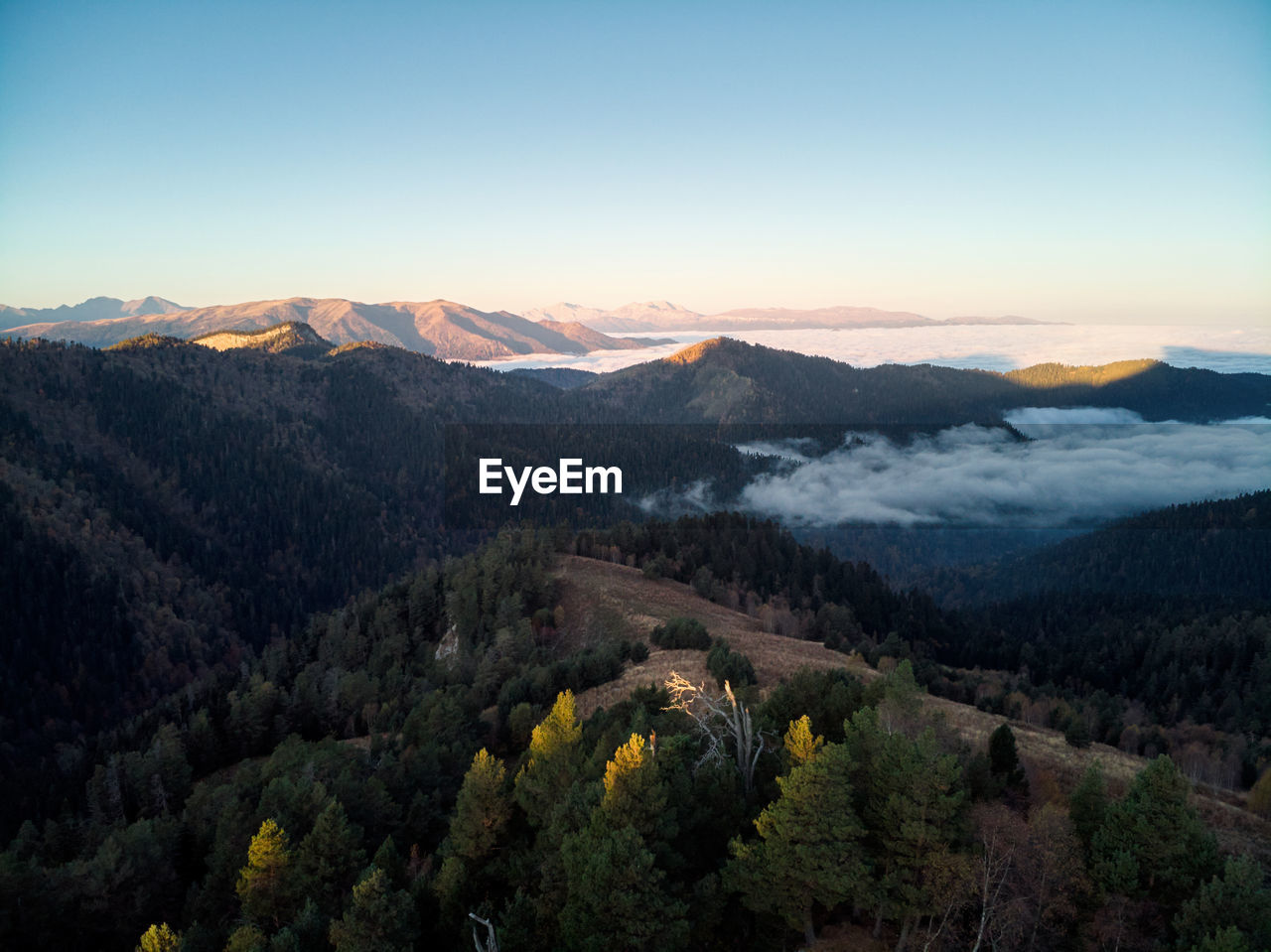 View from a drone at dawn in the mountains, aerial view through the clouds with fog