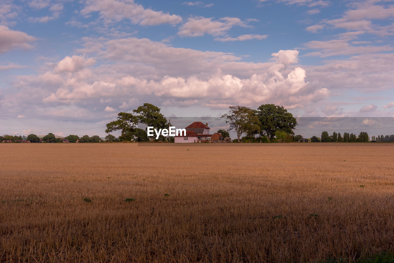 Field of straw stubble with house on the horizon