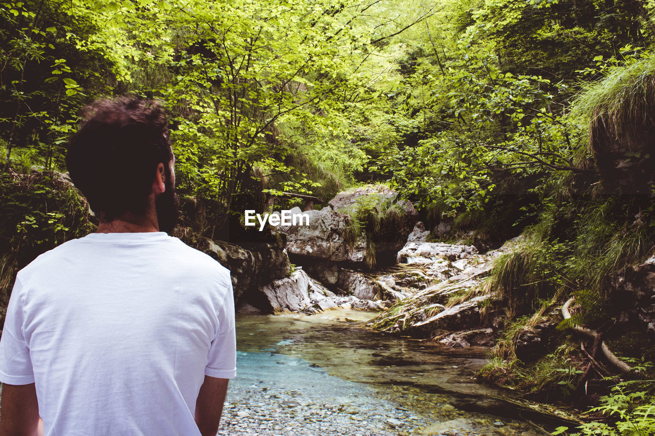 Rear view of man standing by stream in forest 