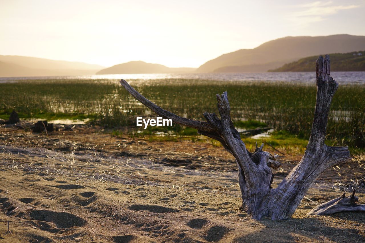 SCENIC VIEW OF FIELD BY MOUNTAINS AGAINST SKY