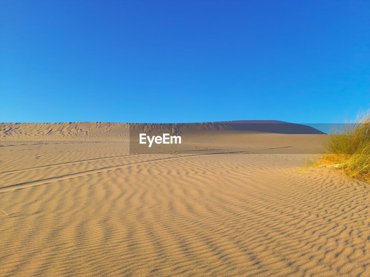 Scenic view of desert against clear blue sky