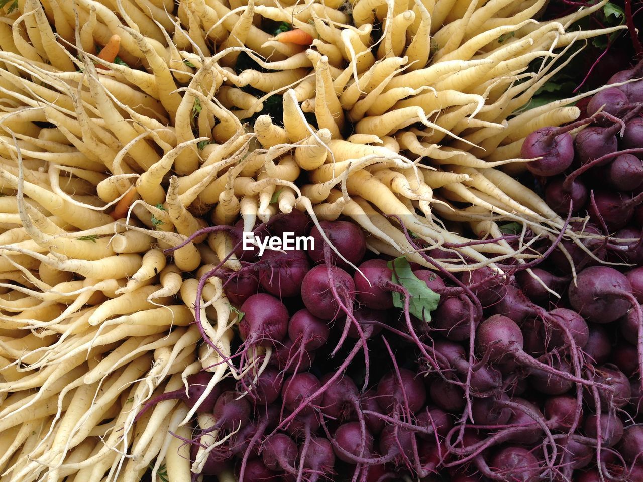 Close up of root crop abundance