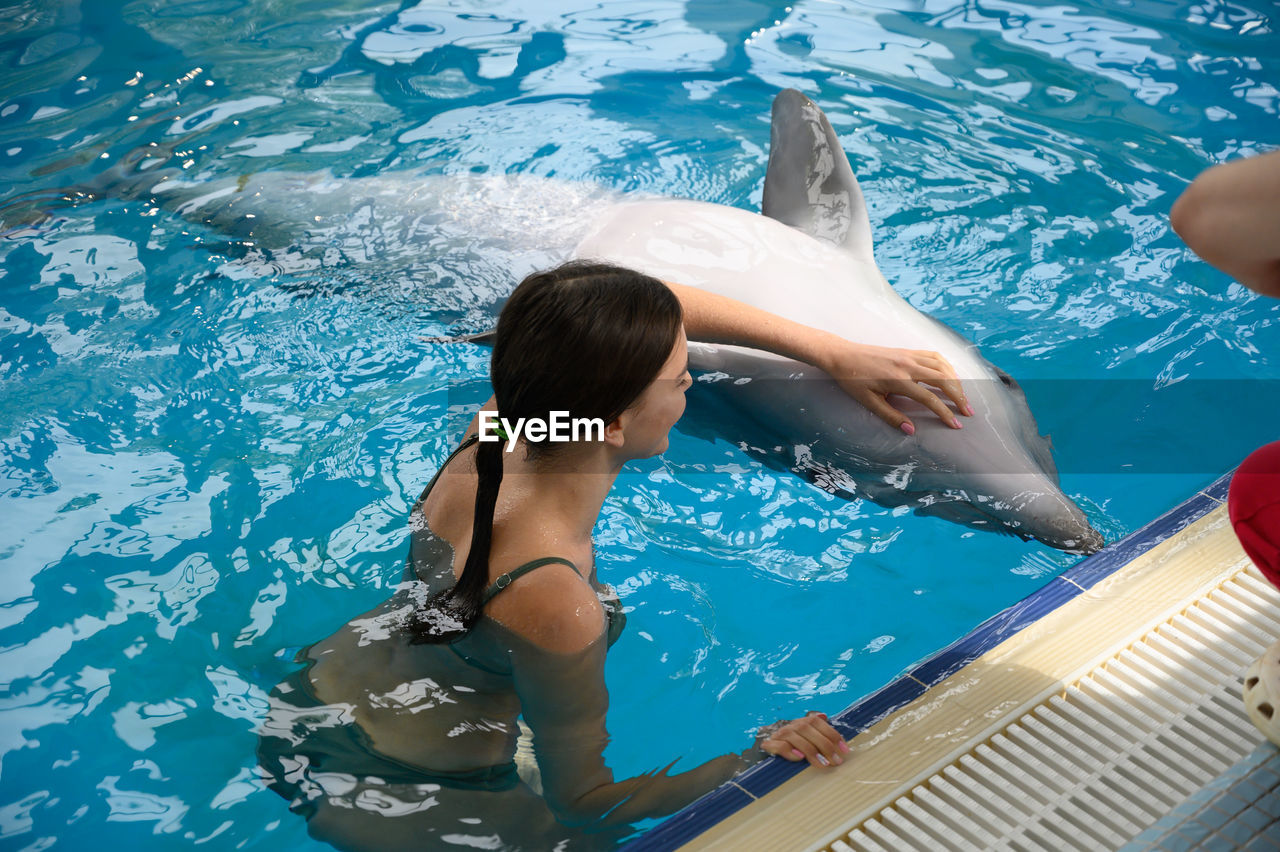 Woman swimming with dolphin in pool