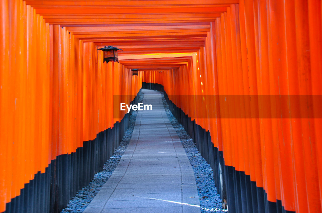 One thousand torii