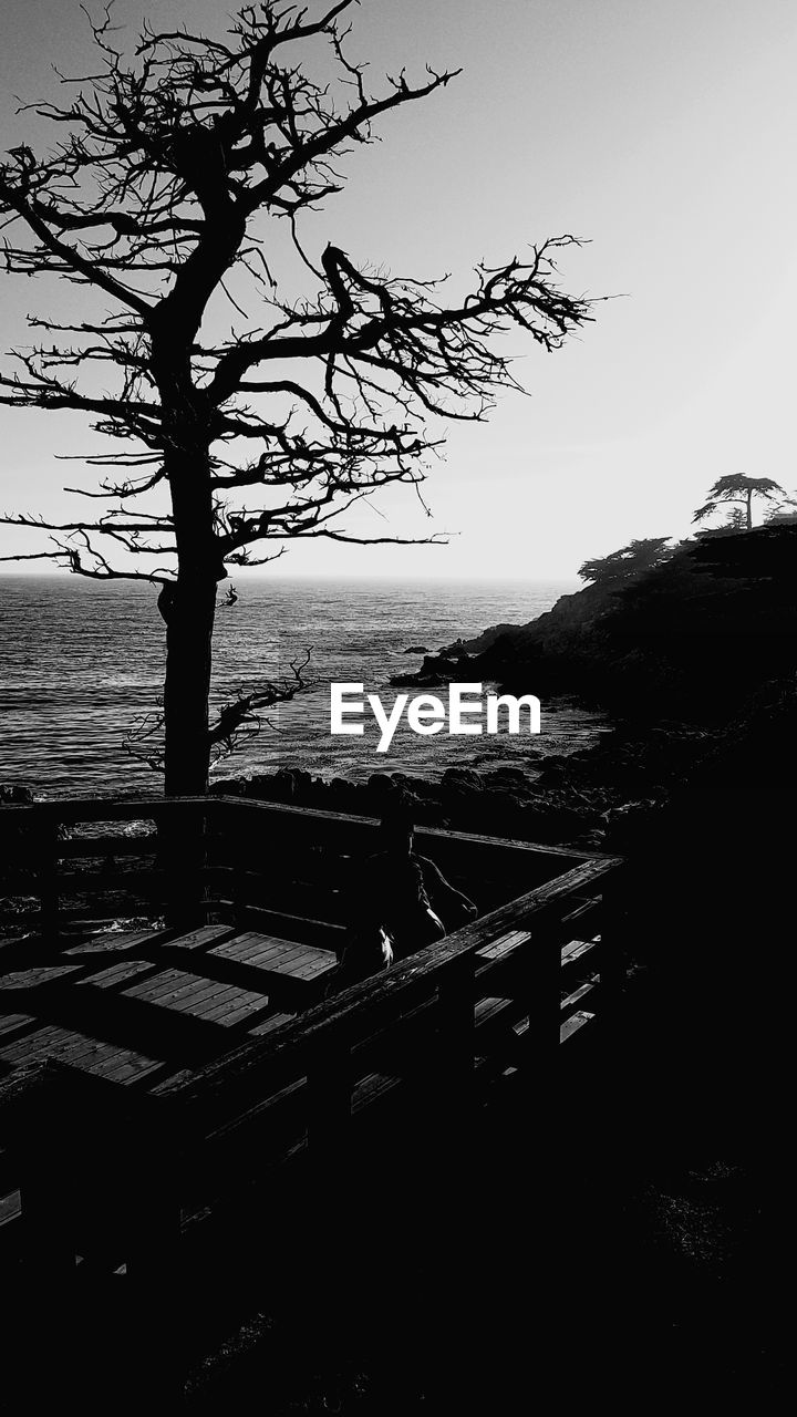 SCENIC VIEW OF SEA BY TREES AGAINST SKY