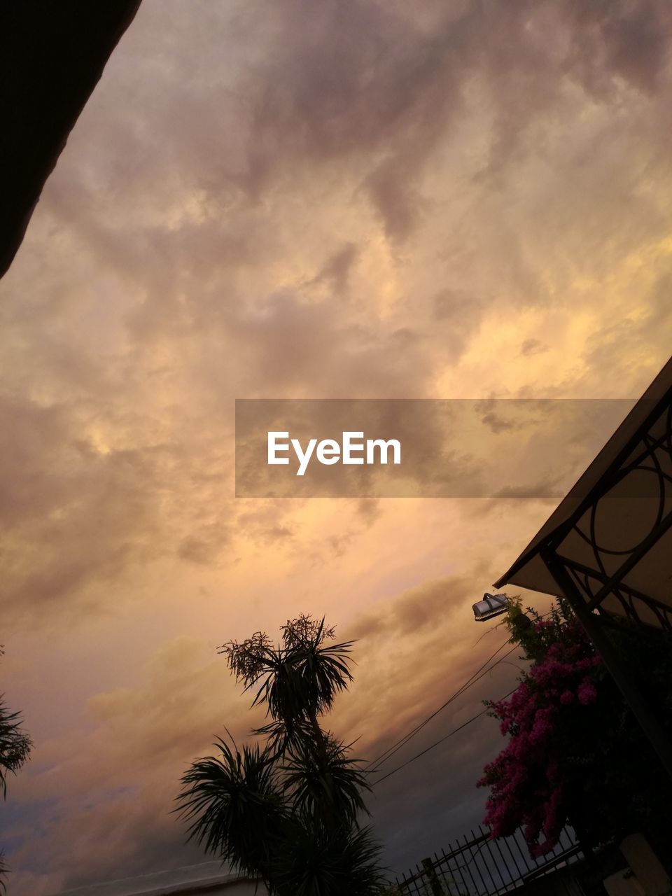 LOW ANGLE VIEW OF SILHOUETTE TREE AGAINST SKY DURING SUNSET