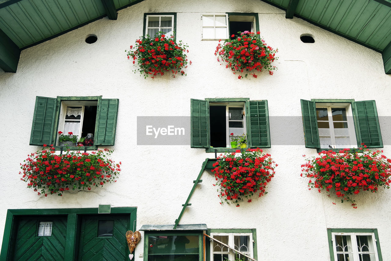 Low angle view of potted plants on building