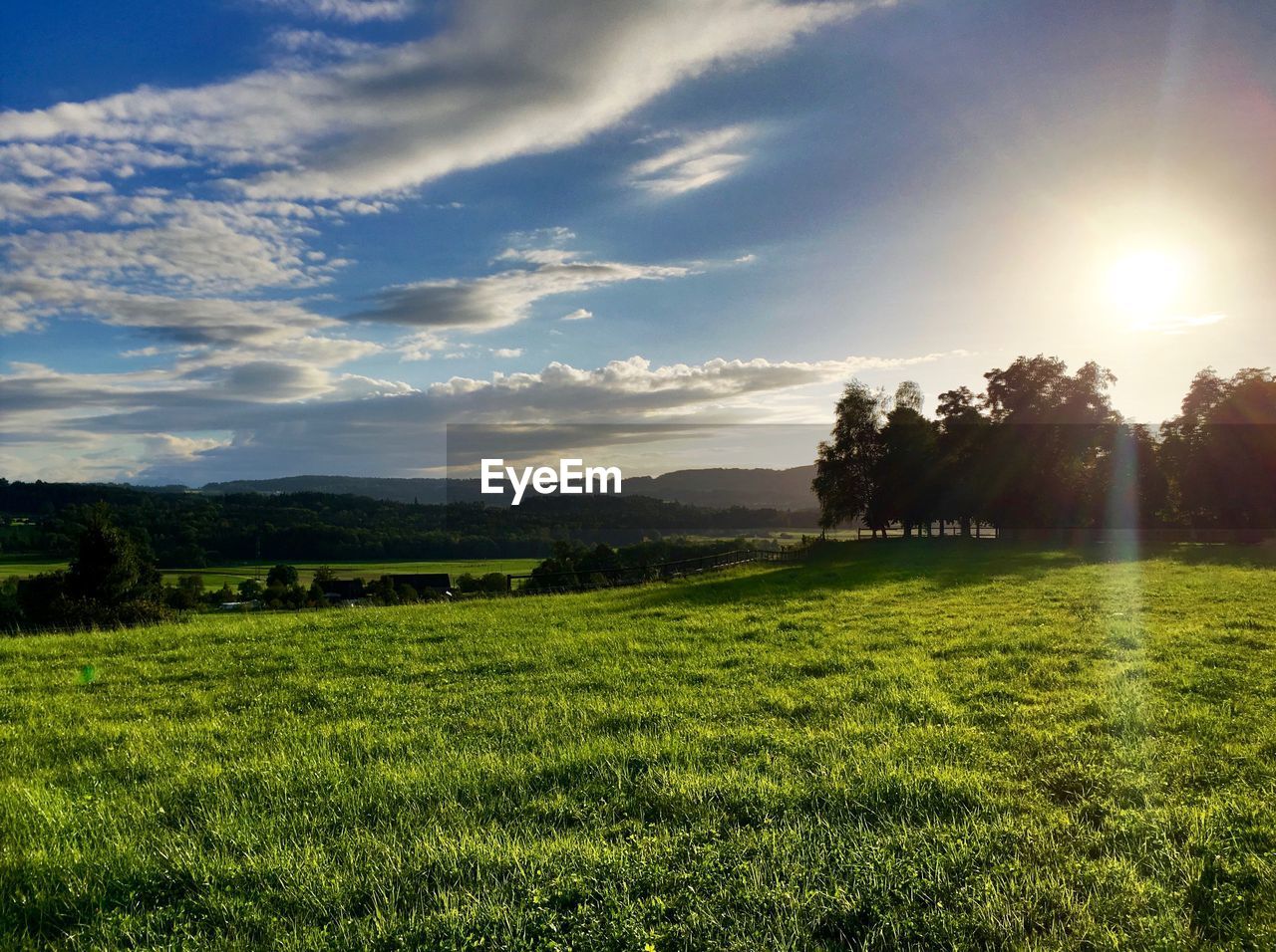 Scenic view of grassy field against sky