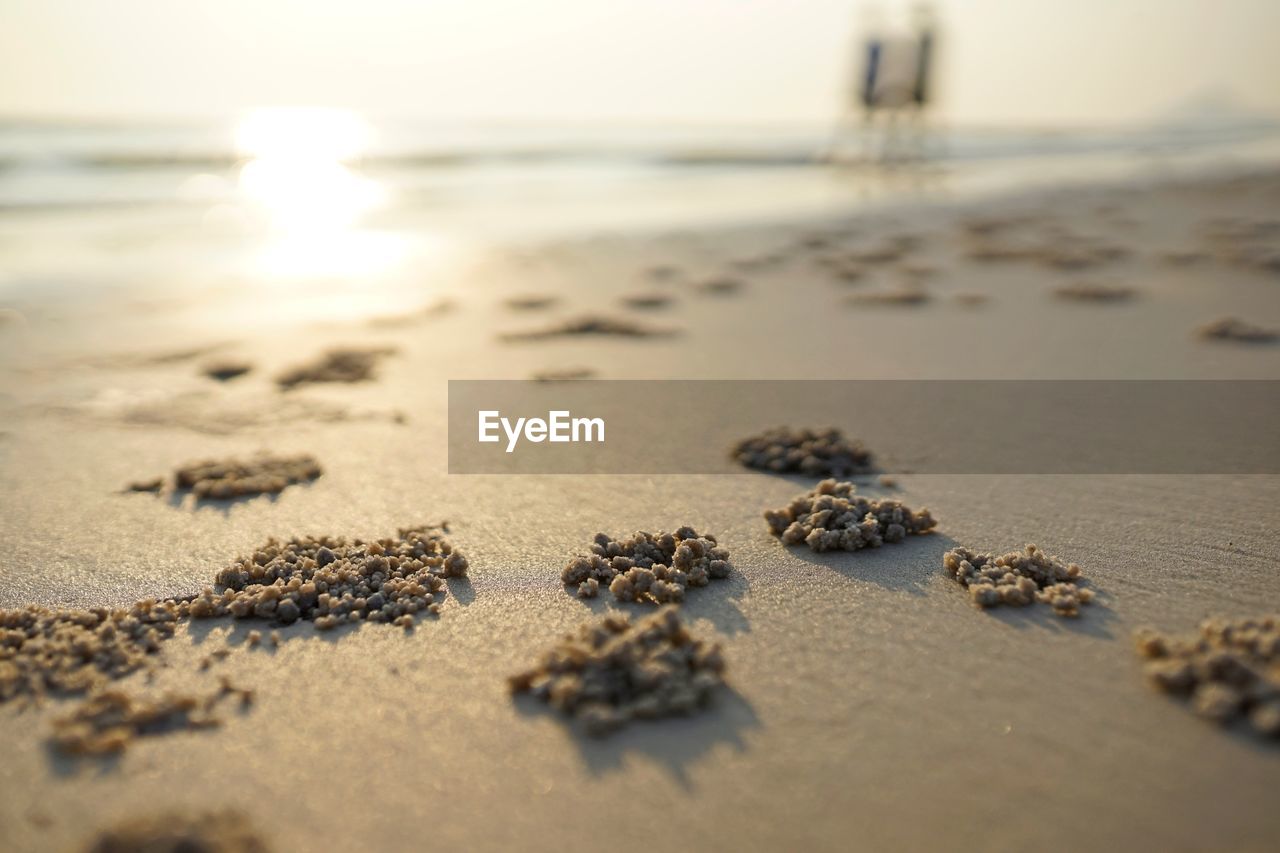 SURFACE LEVEL OF BEACH AGAINST SKY