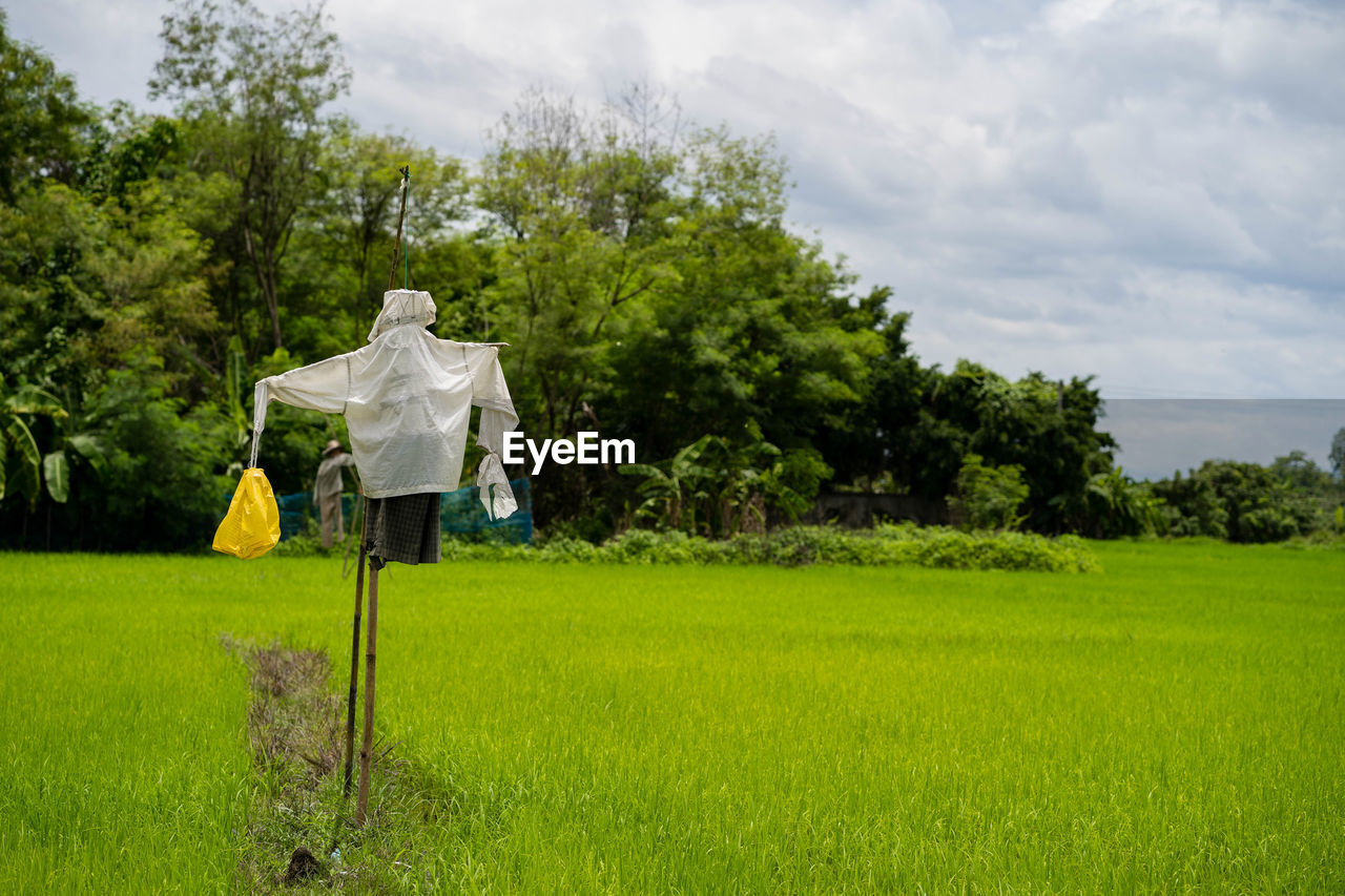 Scarecrow against sky