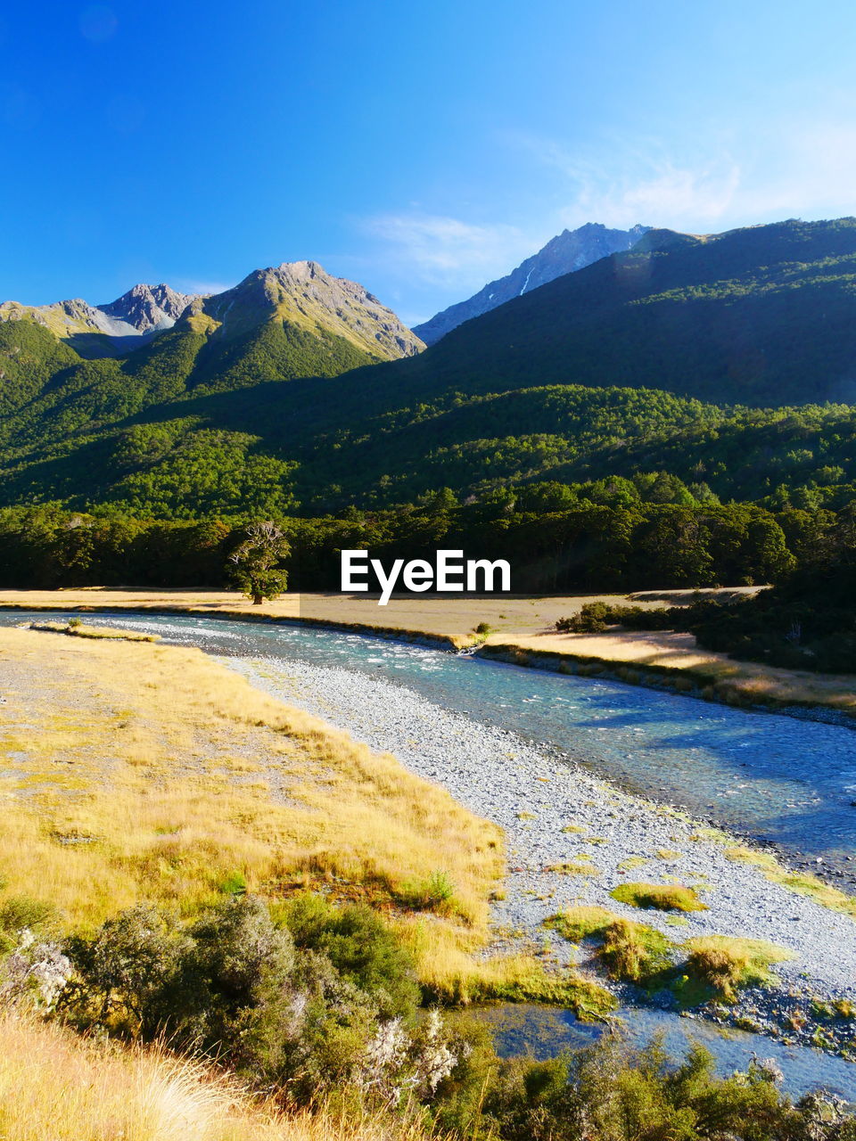 Sunny day at greenstone/caples track in new zealand with view of clear river 