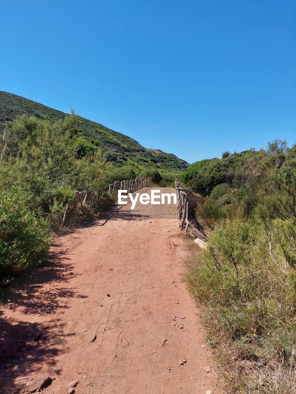 plant, nature, terrain, sky, cliff, land, no people, tree, day, blue, beauty in nature, mountain, clear sky, scenics - nature, green, growth, tranquility, outdoors, sunlight, landscape, rock, non-urban scene, tranquil scene, geology, environment, water, soil, sunny